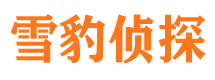 长春市调查公司